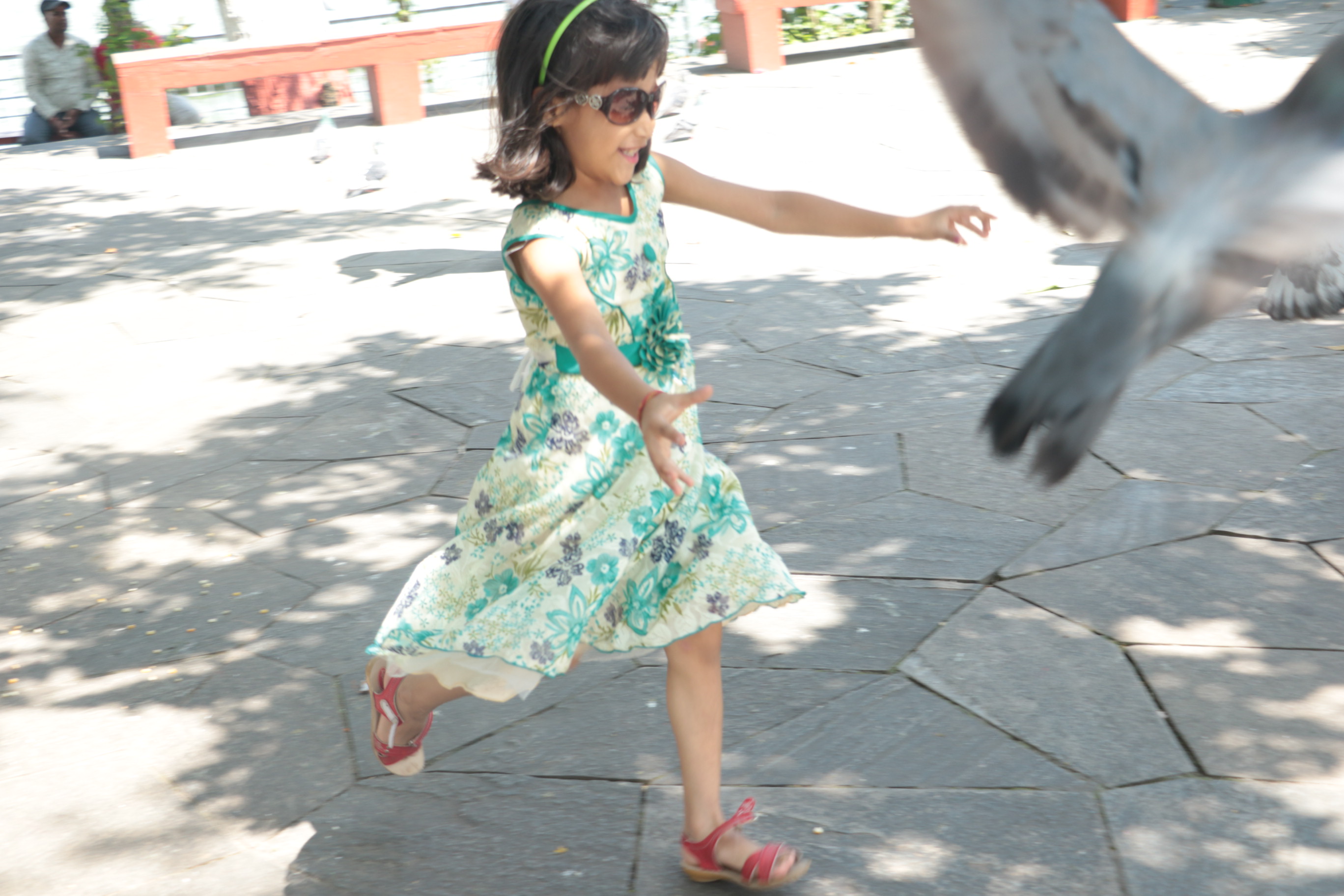 Niharika's Memories 2015