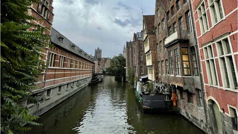 Gallery asset 6 of 11