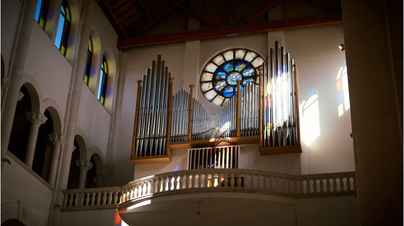 Gallery asset 7 of 11