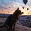 Cappadocia in Mongolfiera: il periodo migliore