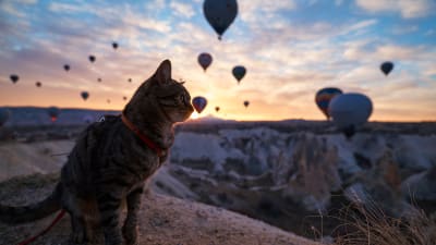 Cappadocia in Mongolfiera: il periodo migliore