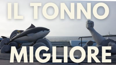 Tonno di Oma: il re dei mari del Giappone tra pesca tradizionale e autenticità