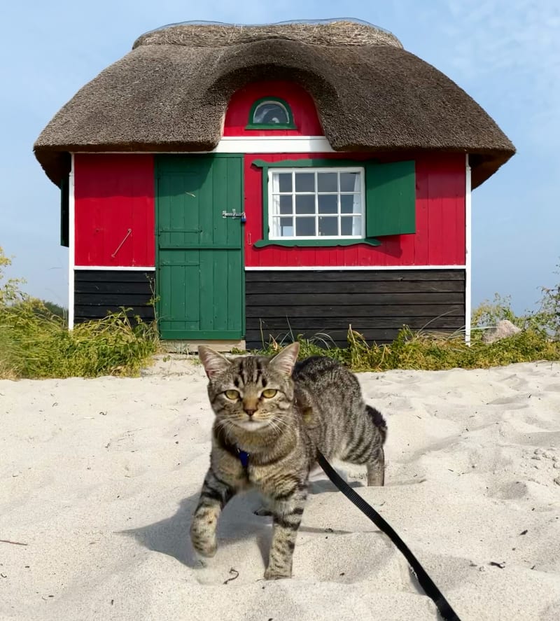 A passeggio per la Danimarca