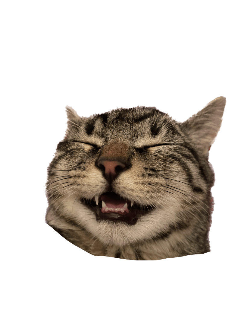 Nessun risultato trovato