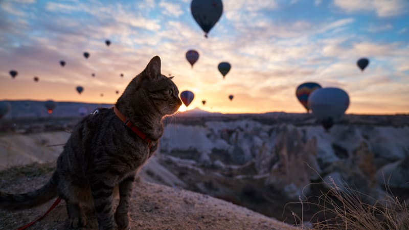 I love Istanbul