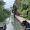 Noale: un piccolo borgo a pochi chilometri da Venezia