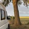 Normandia in camper con cane e gatto: itinerario, consigli e informazioni utili