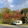 Nouvelle-Aquitaine by Campervan with Dog and Cat: Itinerary, Tips and Useful Information