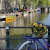 Amsterdam with Dog and Cat: 3 Unmissable Stops