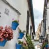 Cordoba in camper: cosa vedere e quale tapas scegliere