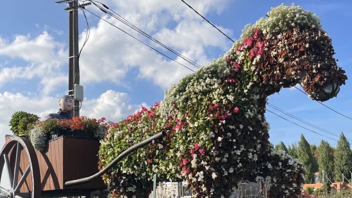 Hauts-de-France by Campervan with Dog and Cat: Itinerary, Tips and Useful Information