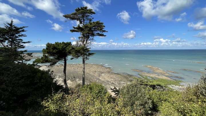Normandy by Campervan with Dog and Cat: Itinerary, Tips and Useful Information