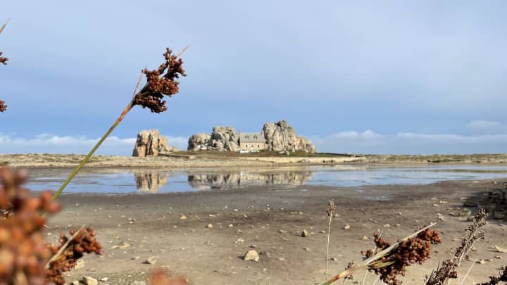 Brittany by Campervan with Dog and Cat: Itinerary, Tips and Useful Information