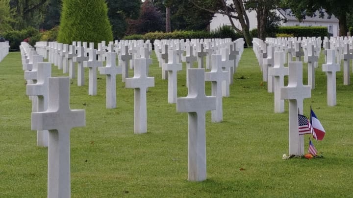 Normandy by Campervan with Dog and Cat: Itinerary, Tips and Useful Information