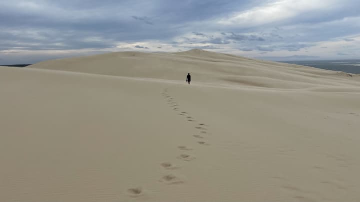Nouvelle-Aquitaine by Campervan with Dog and Cat: Itinerary, Tips and Useful Information