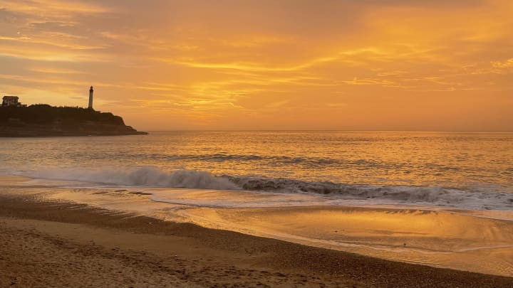 Nouvelle-Aquitaine by Campervan with Dog and Cat: Itinerary, Tips and Useful Information