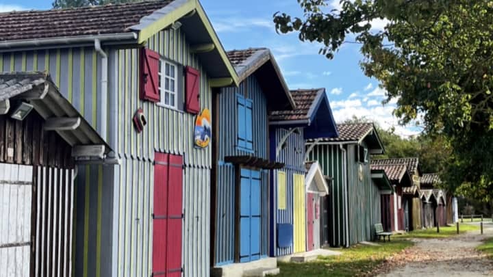 Nouvelle-Aquitaine by Campervan with Dog and Cat: Itinerary, Tips and Useful Information