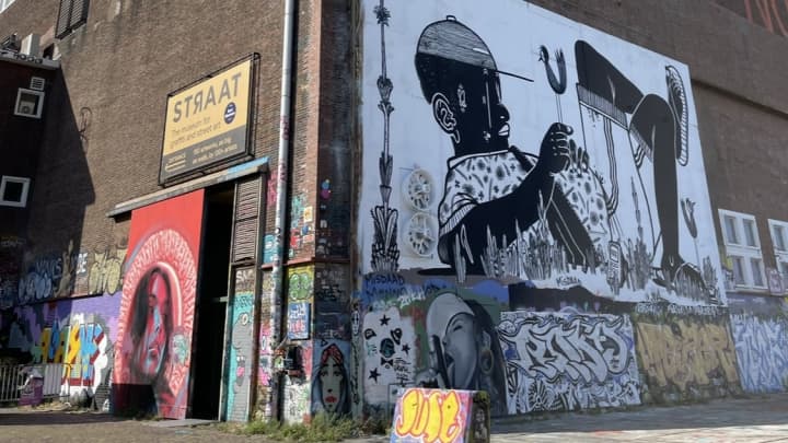 Amsterdam with Dog and Cat: 3 Unmissable Stops