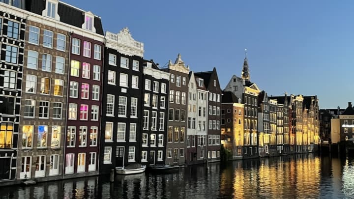 Amsterdam with Dog and Cat: 3 Unmissable Stops
