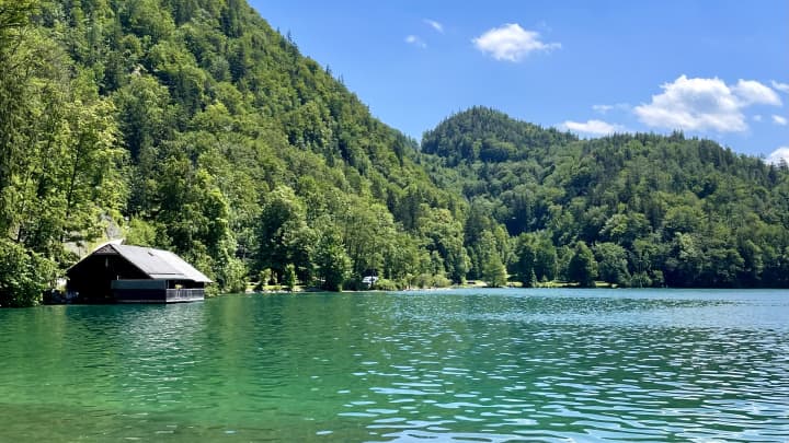 Austria by Campervan with Dog and Cat