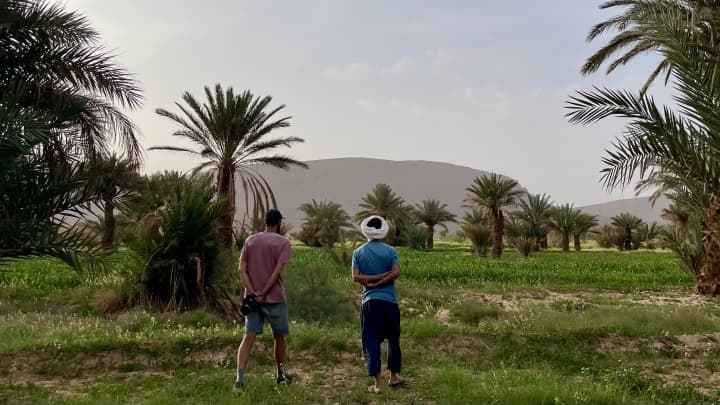 Marocco in camper: dalla costa al deserto a Marrakech