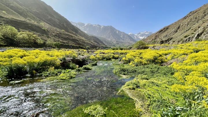 Marocco in camper: dalla costa al deserto a Marrakech