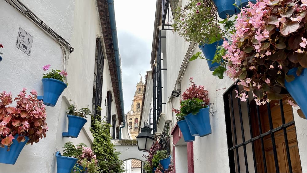 Cordoba in camper: cosa vedere e quale tapas scegliere