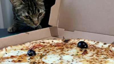 The Best Pizza in Morocco