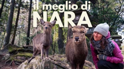 Nara in One Day: Temples, Curious Deer and Silent Forests