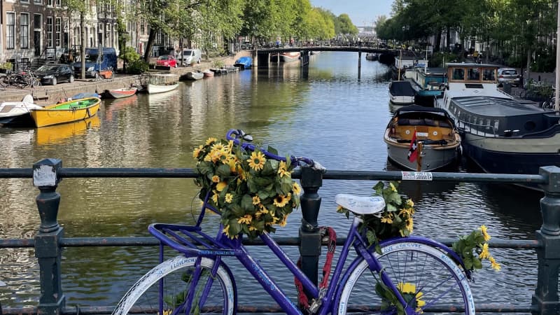 Amsterdam with Dog and Cat: 3 Unmissable Stops