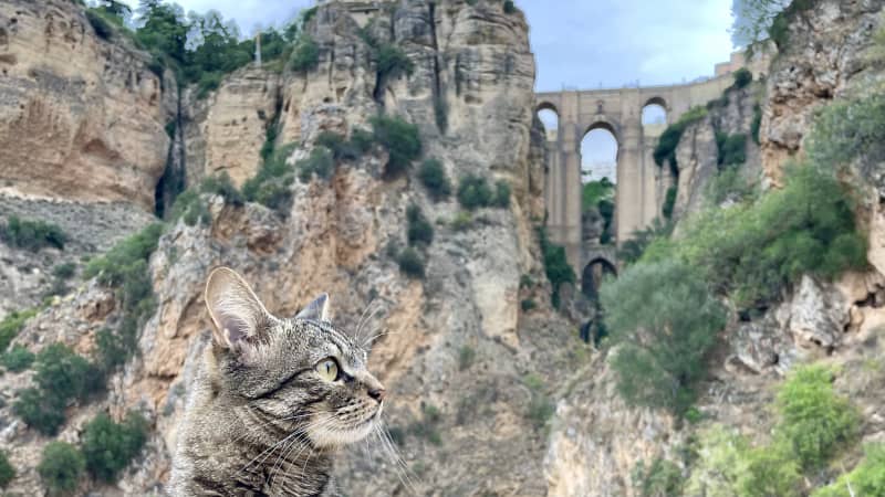 Setenil de las Bodegas and Ronda by Campervan: Two Unmissable Spots in Andalusia