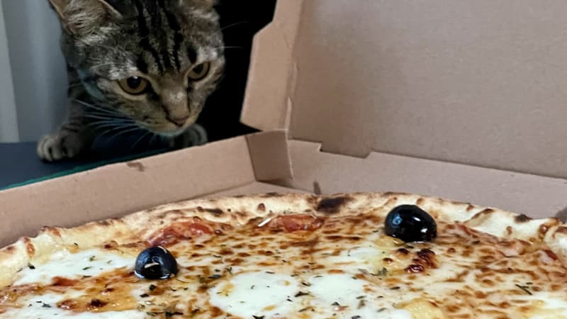 The Best Pizza in Morocco