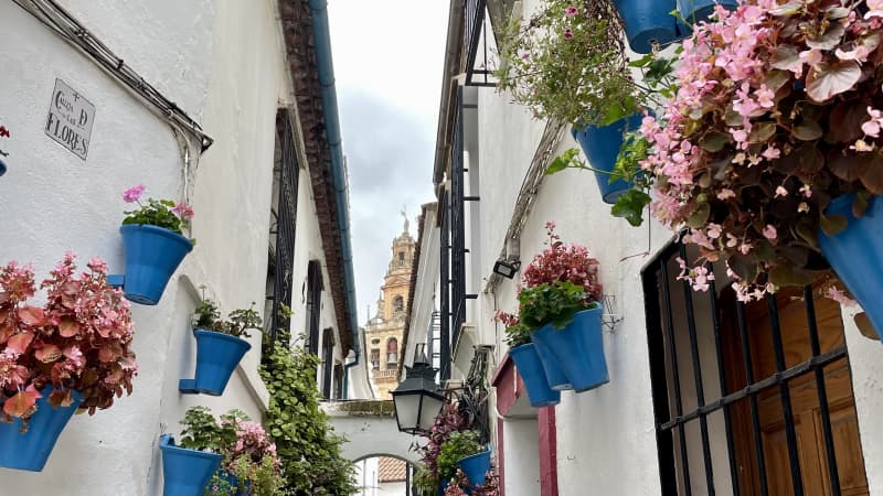 Córdoba by Campervan: What to See and Which Tapas to Choose