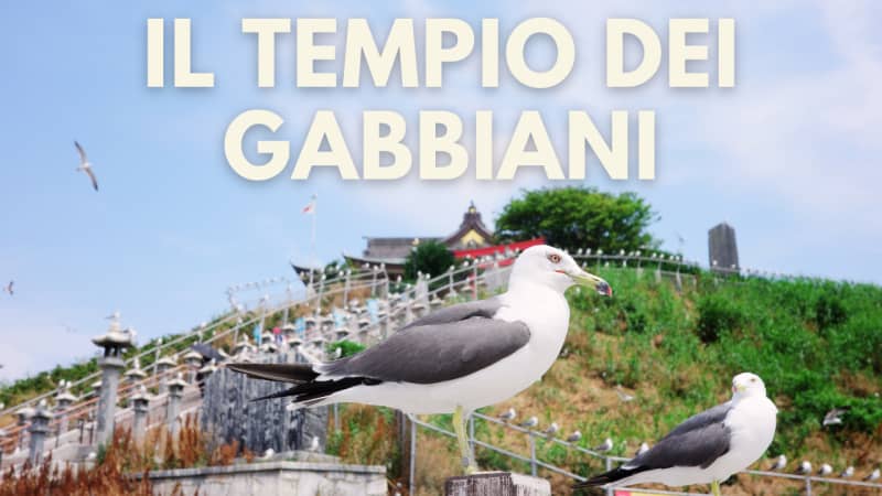 Santuario di Kabushima: oasi spirituale tra mare e gabbiani nella prefettura di Aomori