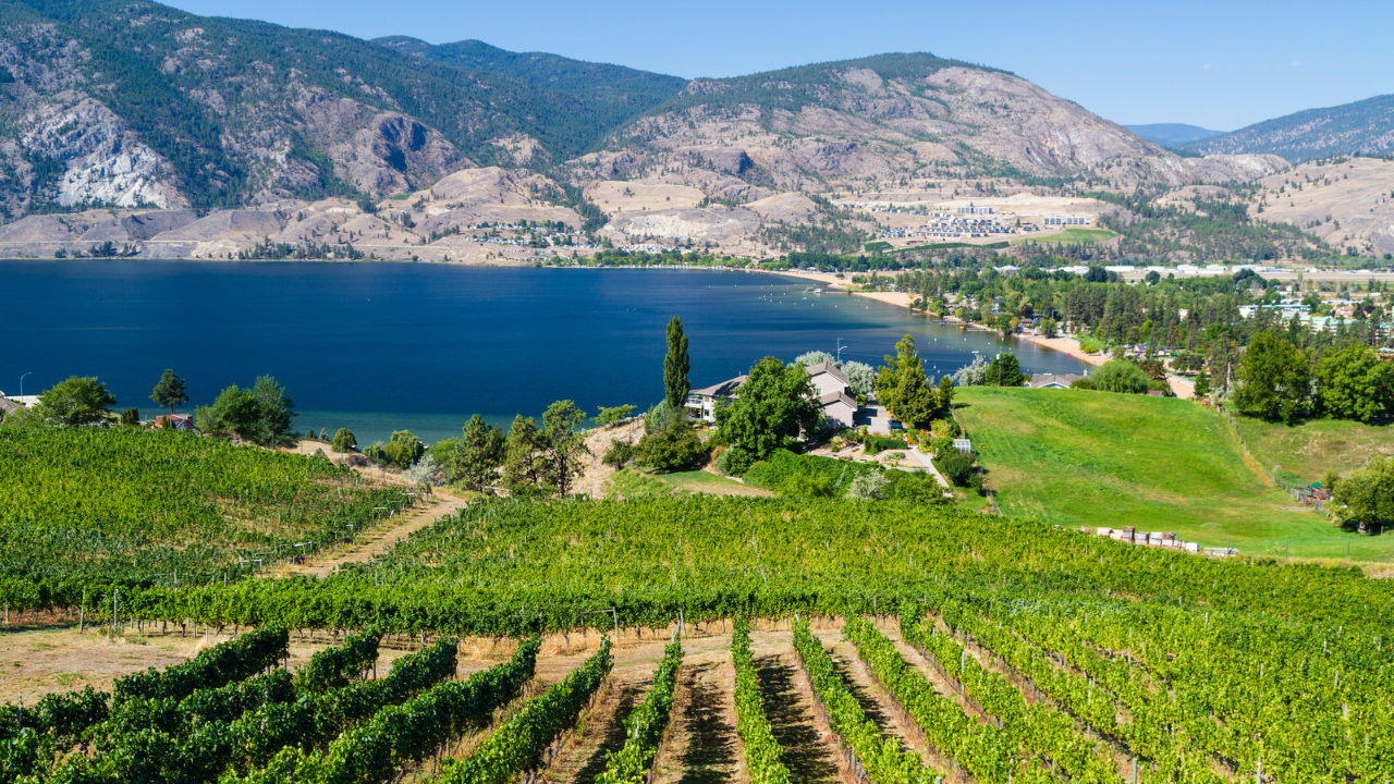 Okanagan Valley in camper: cosa vedere tra Osoyoos, vigneti, laghi e paesaggi semi-aridi