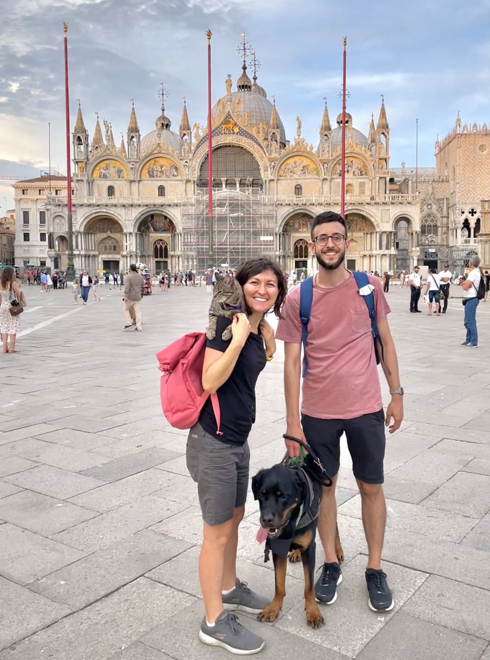 Venezia in 1 giorno con cane e gatto