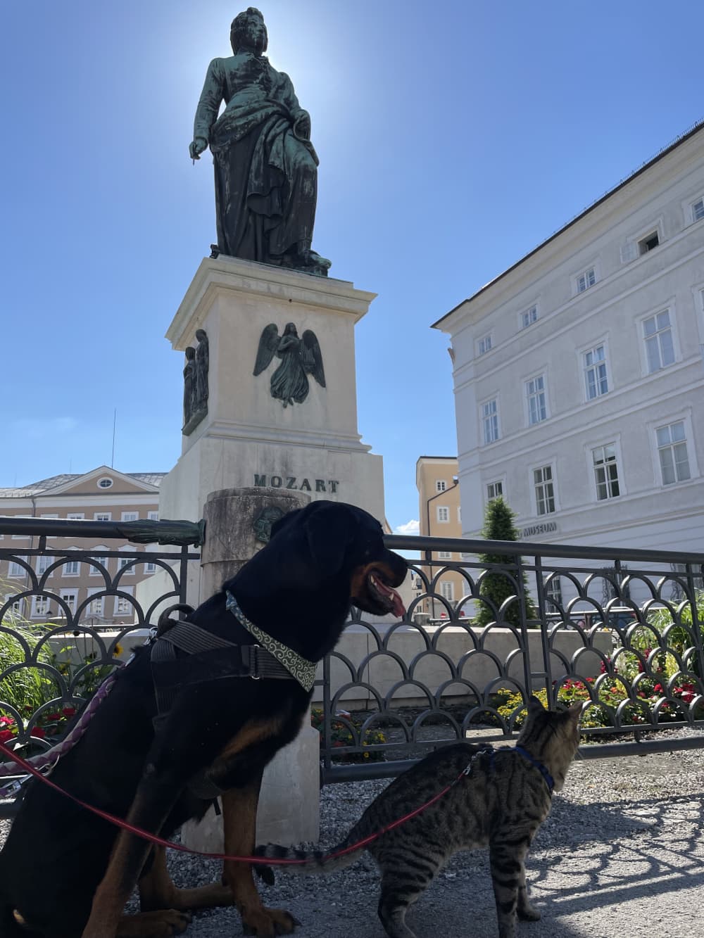 Salisburgo in 1 giorno con cane e gatto: un tour culinario tra palle di Mozart e birrificio Stiegl