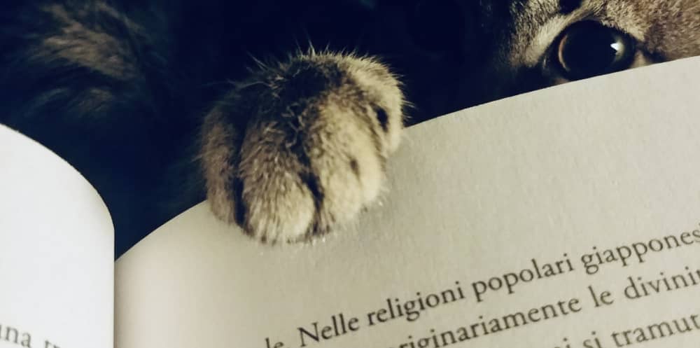  Le coordinate della felicità. Di sogni, viaggi e pura vita -  Gotto, Gianluca - Livres