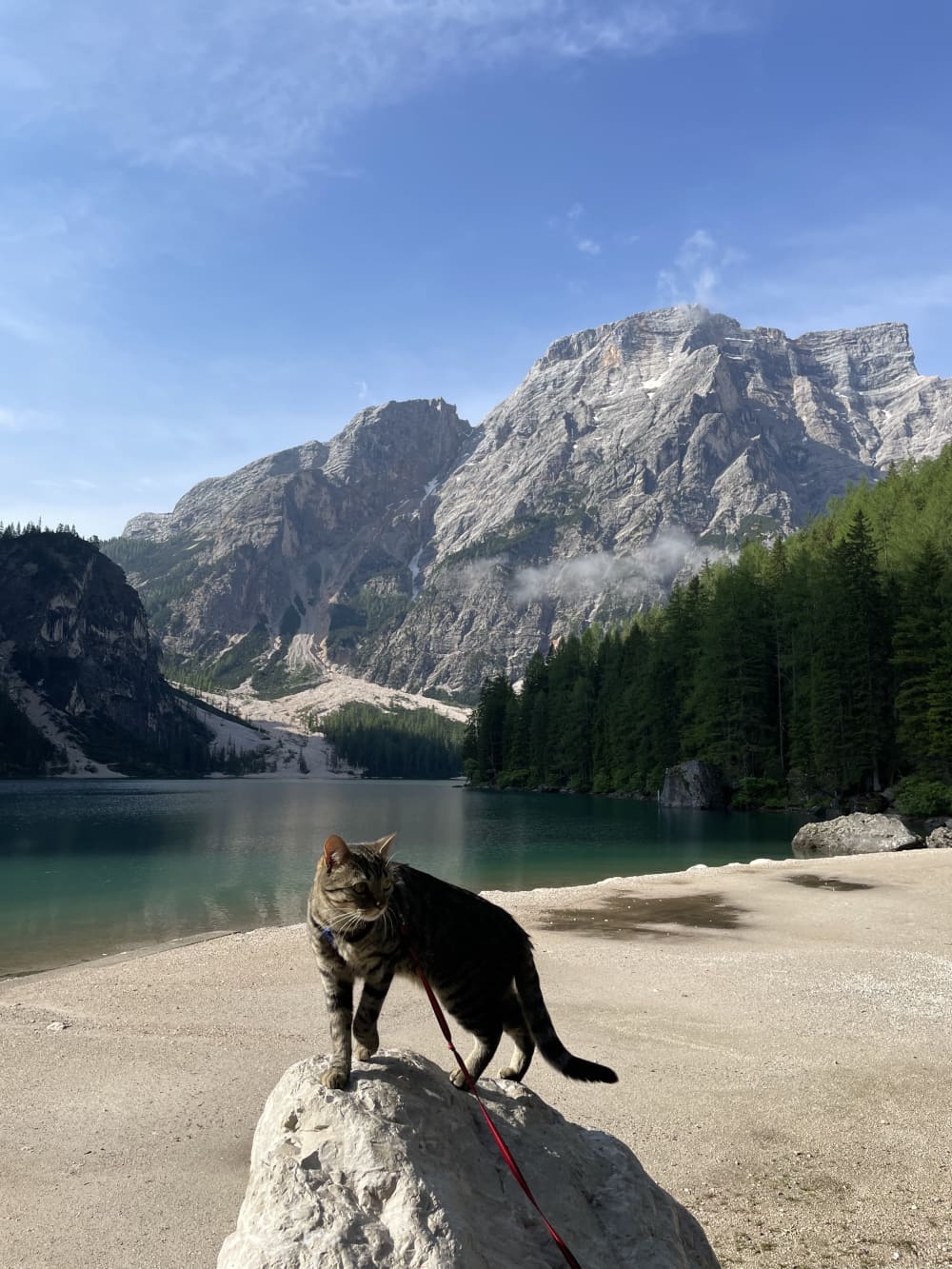 Riva Lago di Braies