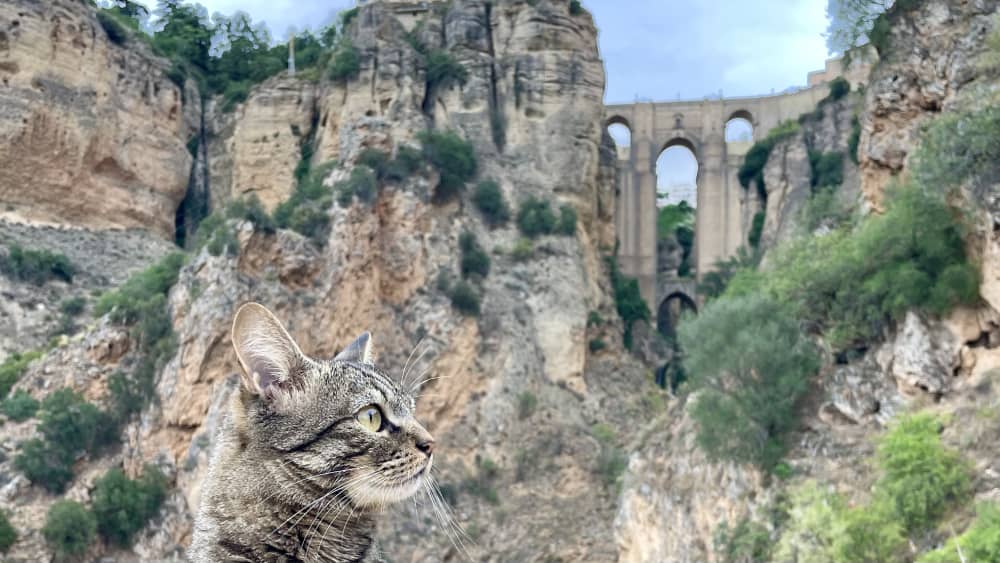 Setenil de las Bodengas e Ronda in camper: due mete imperdibili in Andalusia