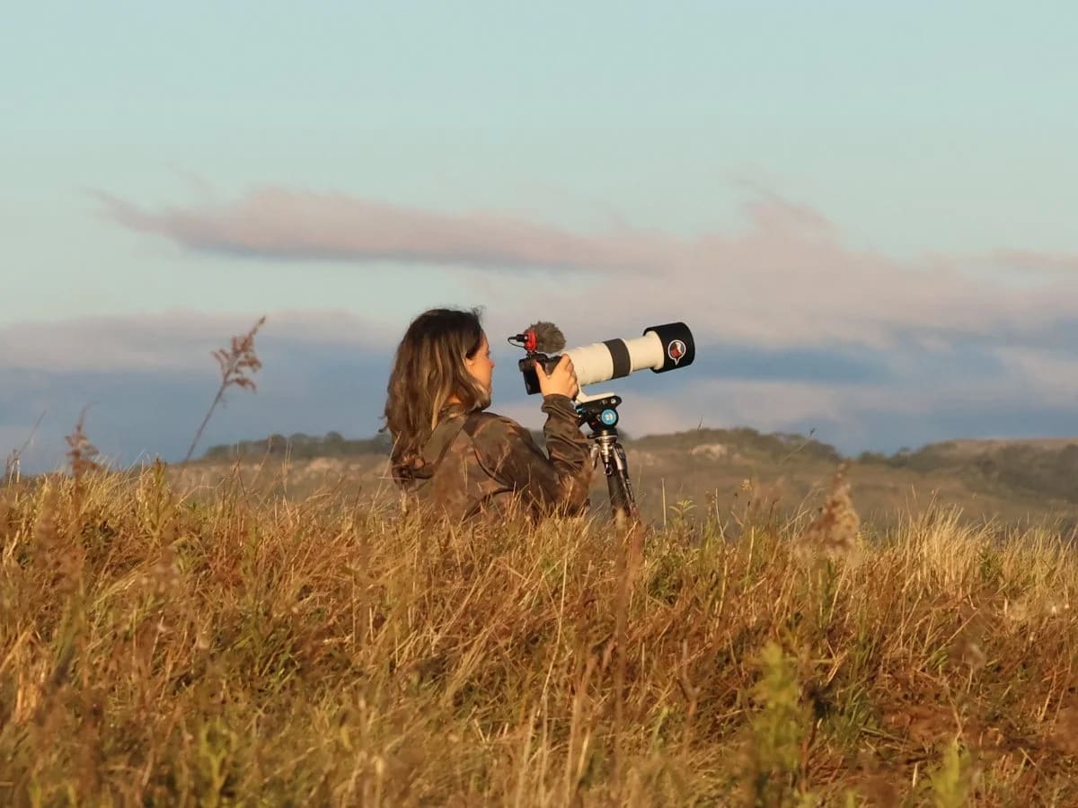 Biólogo em campo observando aves com binóculos