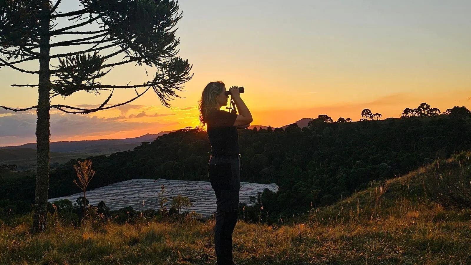 Jéssica Menq com binóculos observando pôr do sol sobre vale com araucárias