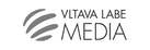Vlm