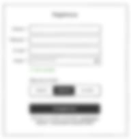 Registrace-wireframe