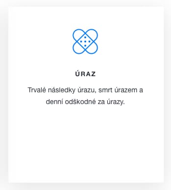 Ikona pro úraz