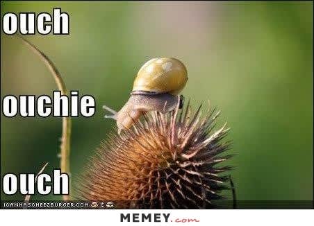 Šnek v šílených bolestech