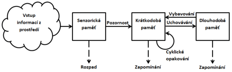 Schéma paměti