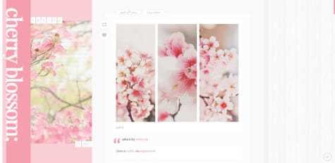 Preview for Cherry Blossoms