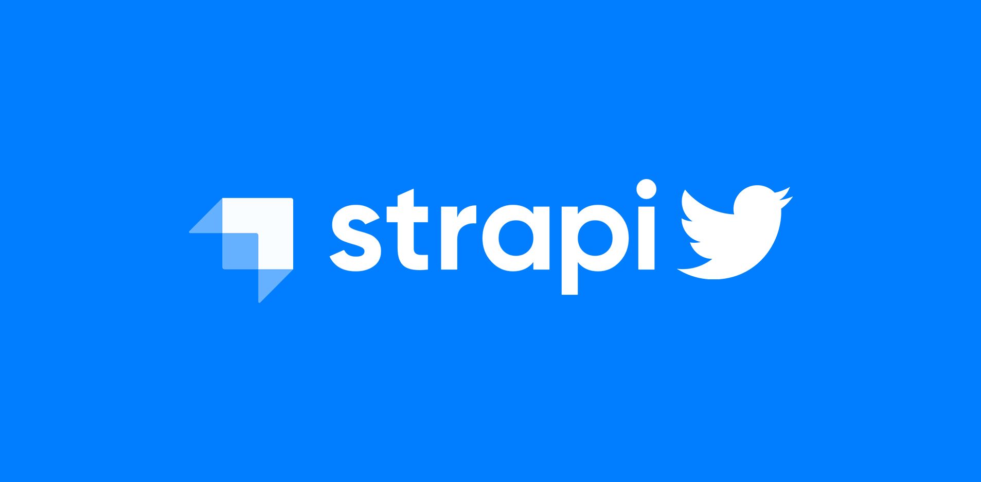 Image 0 for Strapi Hook Twitter