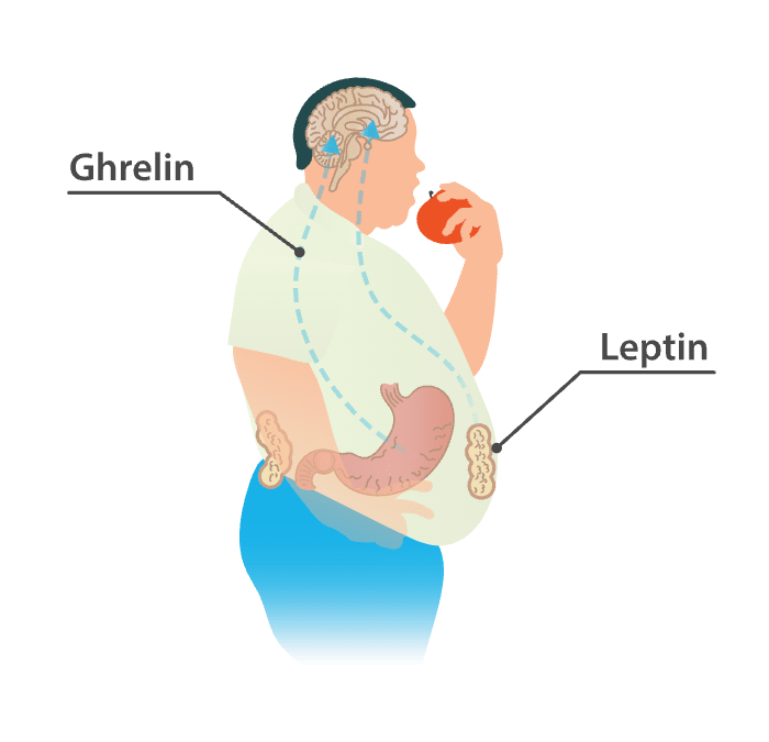 Running impacts your leptin and ghrelin levels, and helps you control your appetite.